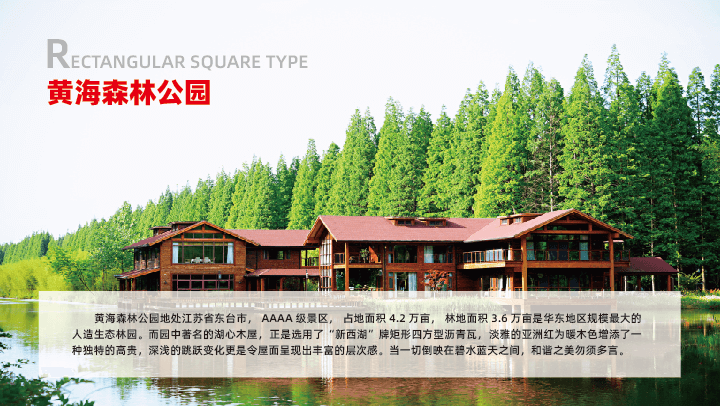 江蘇-黃海森林公園 江蘇-黃海森林公園